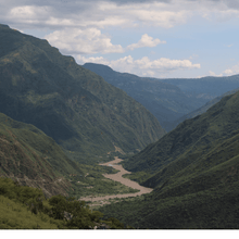 Charger l'image dans la galerie, Café Colombia Bio - Santander, Colombie