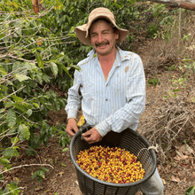 Charger l'image dans la galerie, Café Canela del Fuego - Tarrazú, Costa Rica