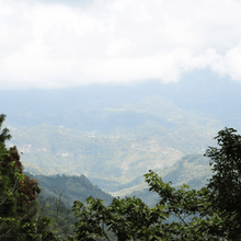 Charger l'image dans la galerie, Café Santa Fé Decaf - Chiapas, Mexique