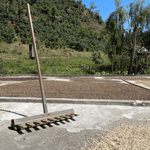 Charger l'image dans la galerie, Café La Esperanza - Antigua, Guatemala