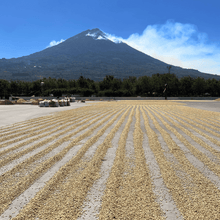 Charger l'image dans la galerie, Café La Esperanza - Antigua, Guatemala