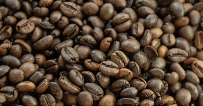 Quelle différence entre le café Arabica et Robusta ?