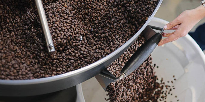 Les différents types de café torréfié : comment choisir le vôtre