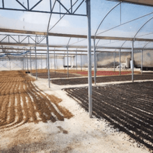 Charger l&#39;image dans la galerie, Café Canela del Fuego - Tarrazú, Costa Rica
