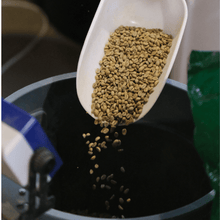 Upload image to gallery, Atelier Torréfaction
