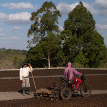 Charger l&#39;image dans la galerie, Café Brésil
